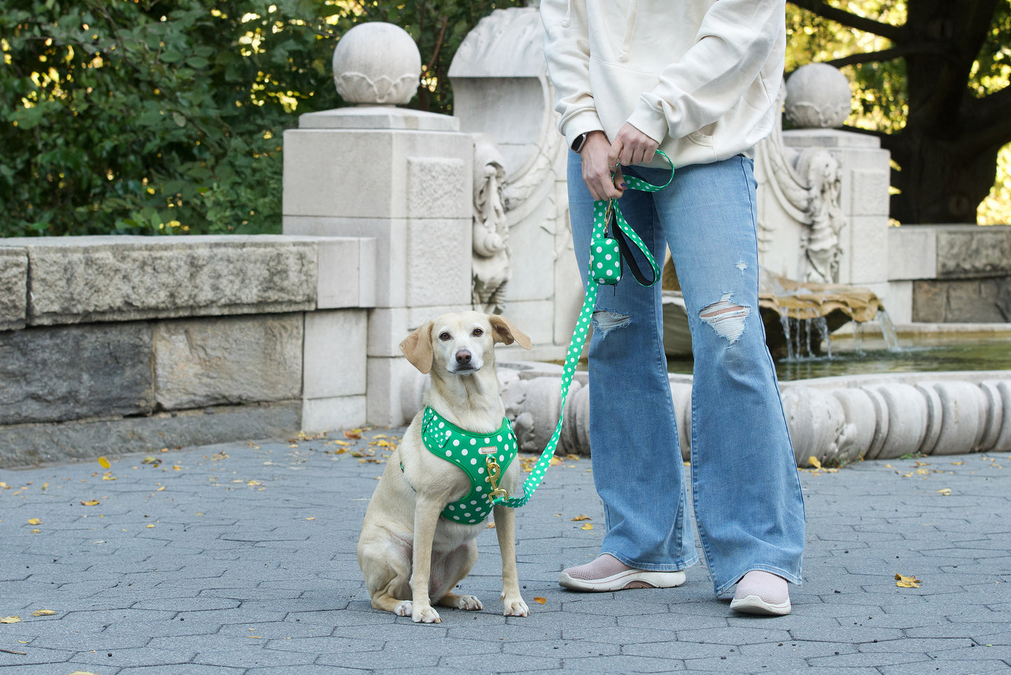 Dog wearing a green harness and leash with a person in a white sweatshirt and blue jeans standing next to it, in front of a stone fountain.