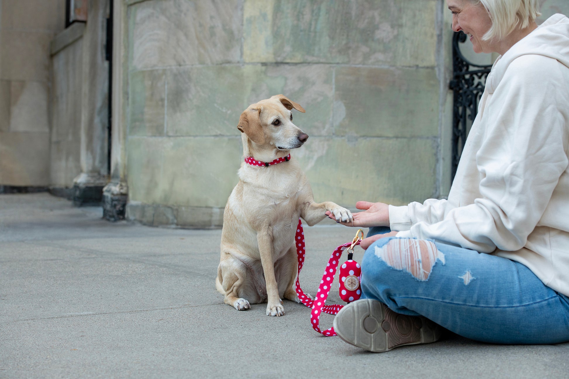 Woman sitting on the ground with a dog on a leash in an urban setting