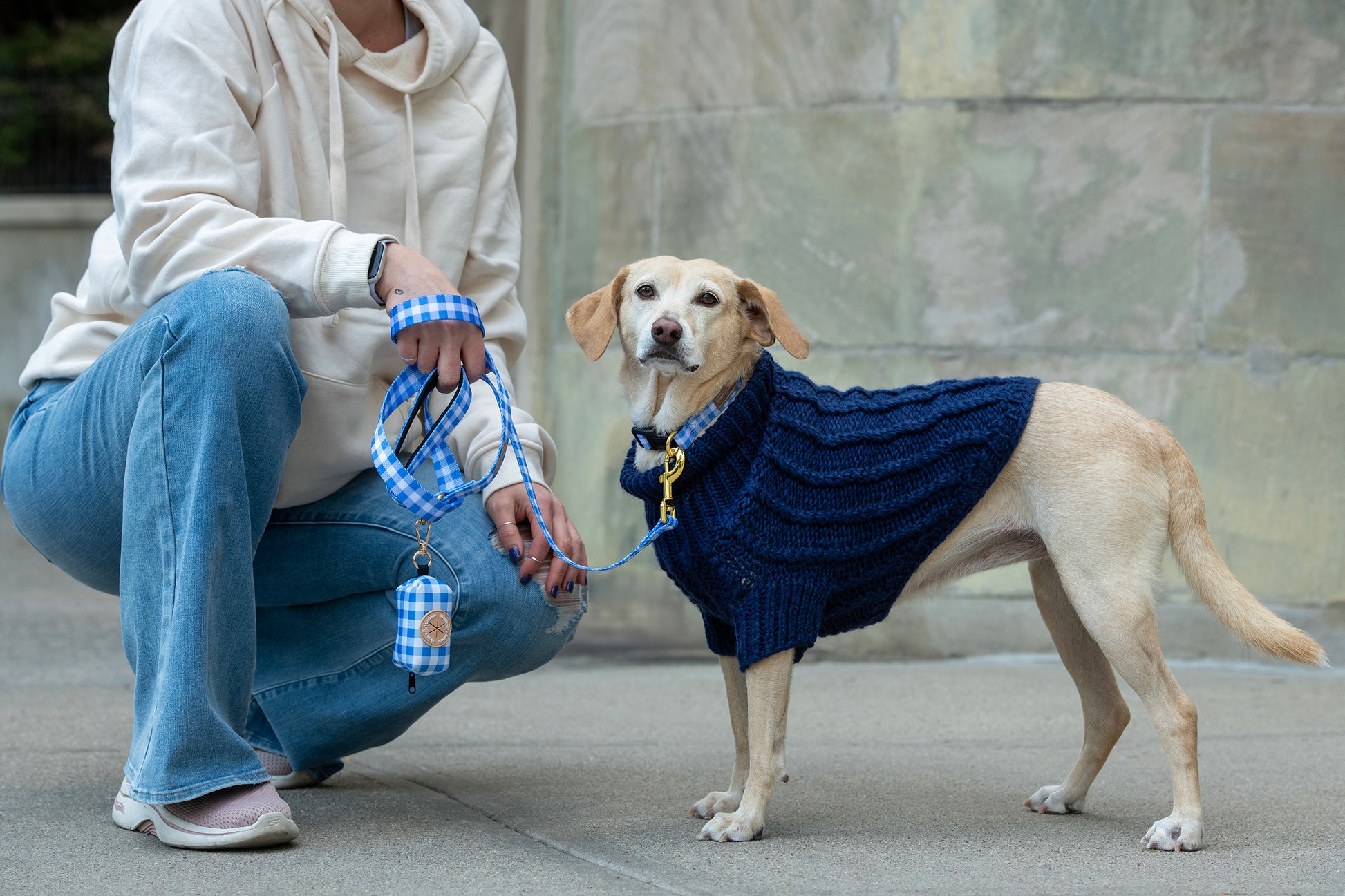 Person kneeling next to a dog wearing a blue sweater on a sidewalk.