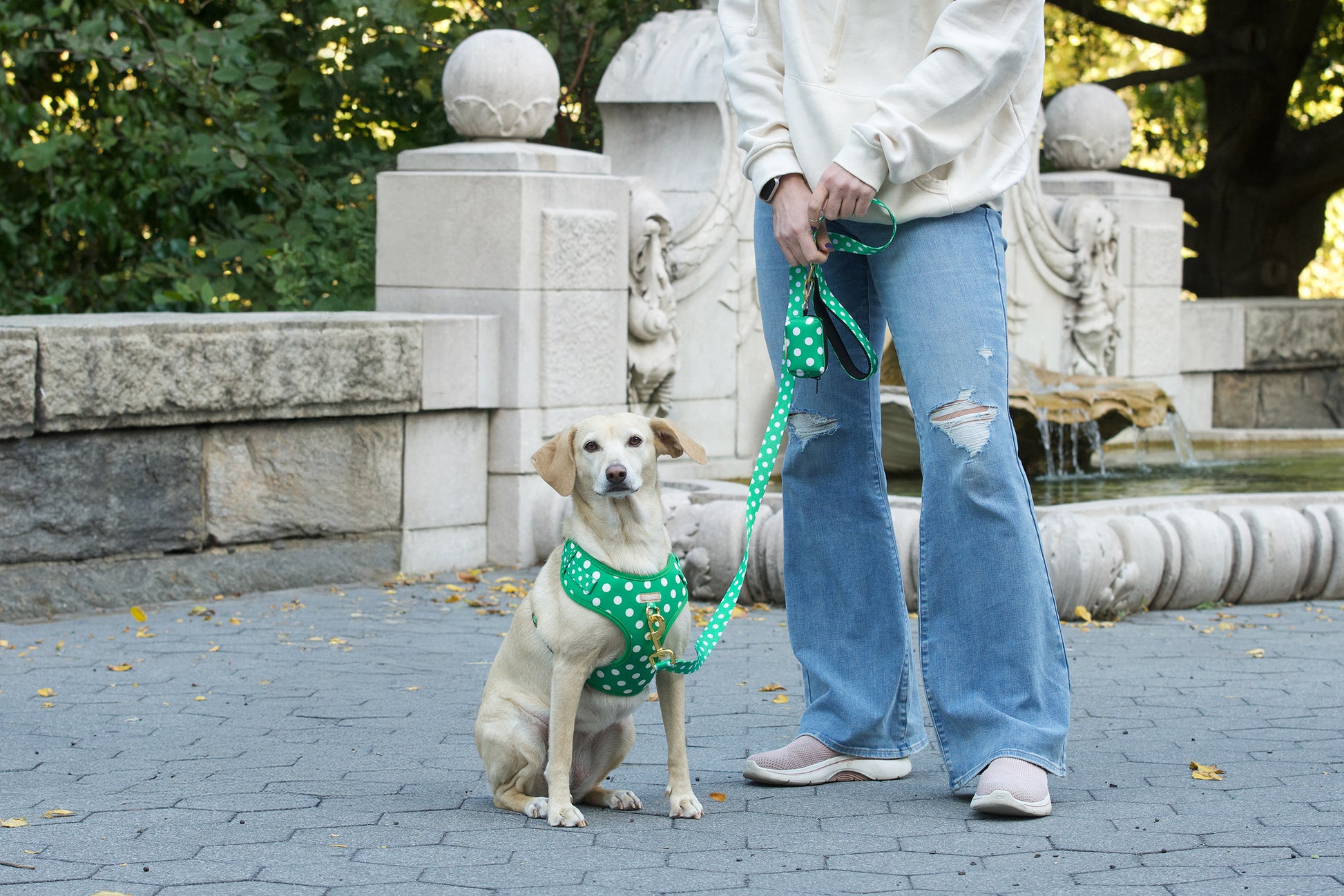 Dog wearing a green harness and leash with a person in a white sweatshirt and blue jeans standing next to it, in front of a stone fountain.