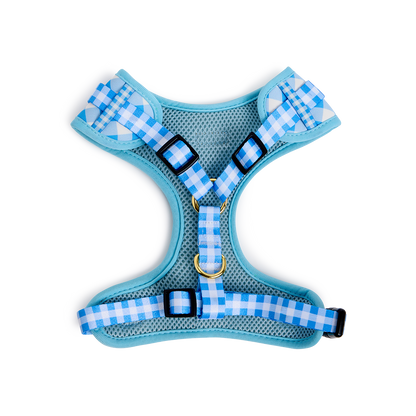 Checker Harness