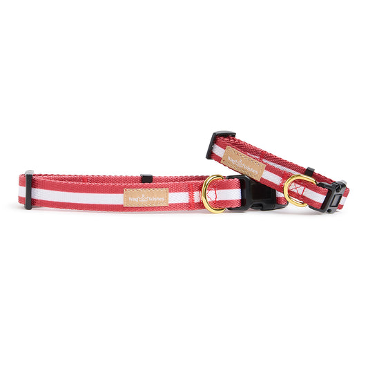 Red and white striped dog collar with gold hardware on a white background