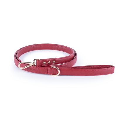 Vegan Leather Leash