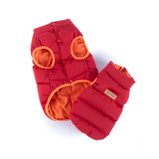 Stylish Warm Water Resistant Puffer Vest