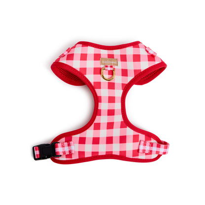 Checker Harness