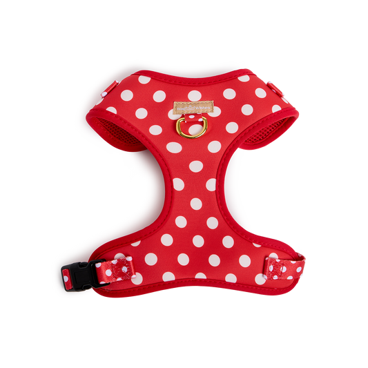 Polka Dots Harness