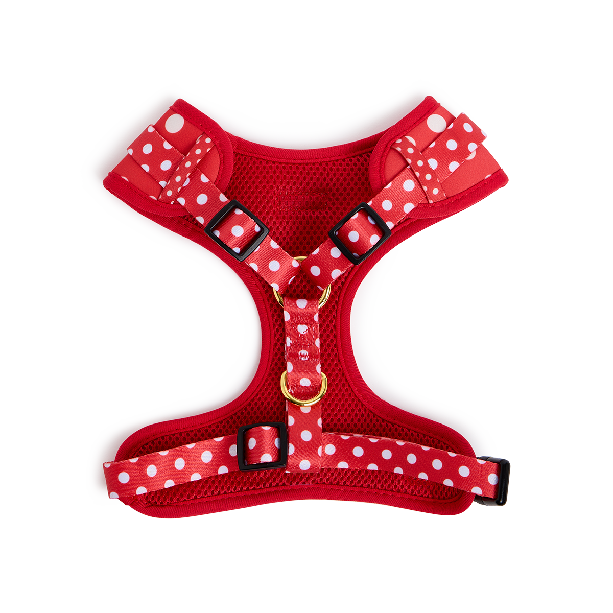 Polka Dots Harness