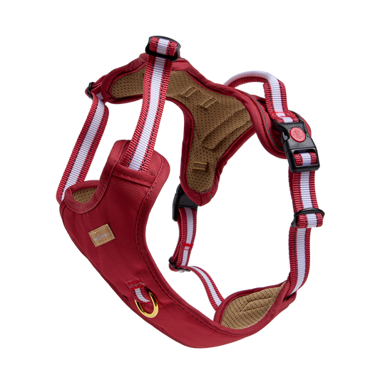 Reflective Dual Support Harness