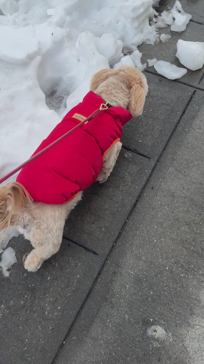 Stylish Warm Water Resistant Puffer Vest